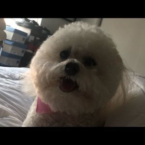 Meet your Posher, Richard